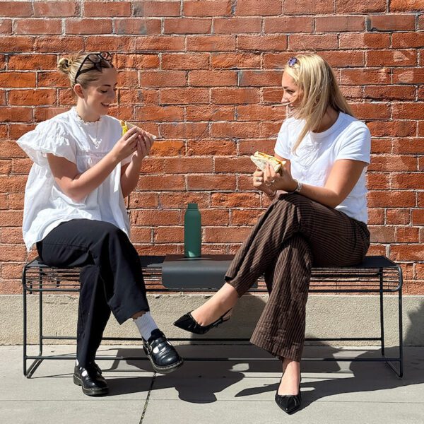 Outdoor seating NZ. Ico Traders wire bench seat